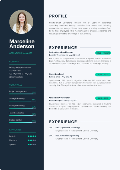Professional CV Sample 66